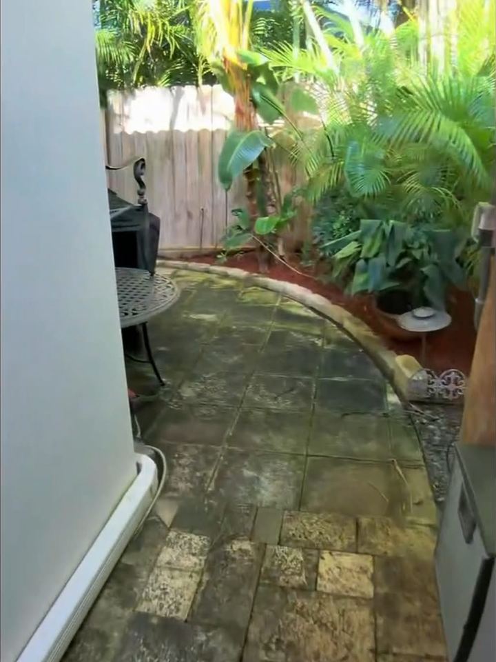 Side walkway pavers dark with dirt and mildew before pressure washing
